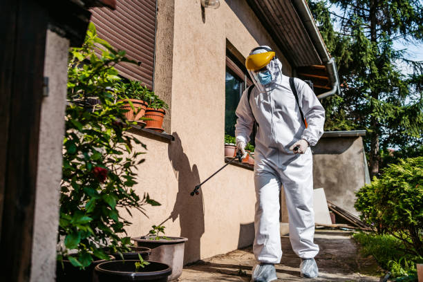 Best Pest Control Near Me in Peshtigo, WI