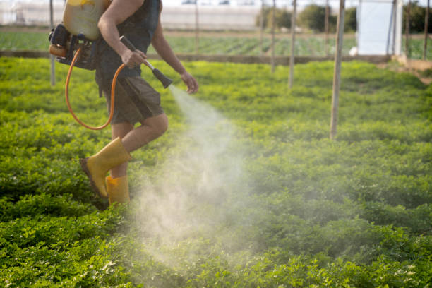 Best Local Pest Control Services  in Peshtigo, WI